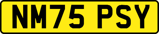 NM75PSY