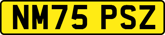 NM75PSZ