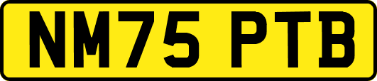 NM75PTB