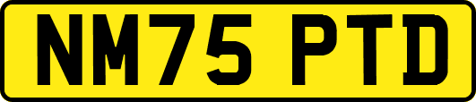 NM75PTD