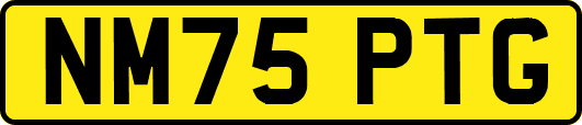 NM75PTG