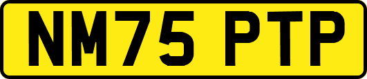 NM75PTP