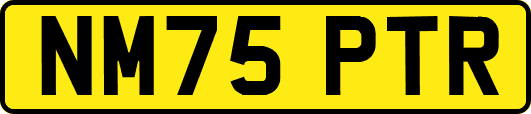 NM75PTR