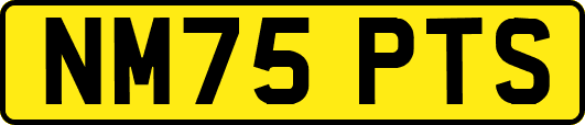 NM75PTS