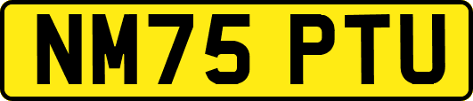 NM75PTU