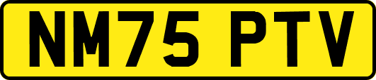 NM75PTV
