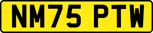 NM75PTW
