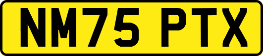 NM75PTX