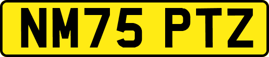 NM75PTZ