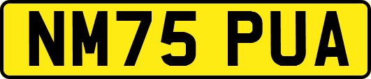 NM75PUA