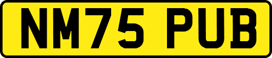 NM75PUB