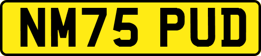 NM75PUD