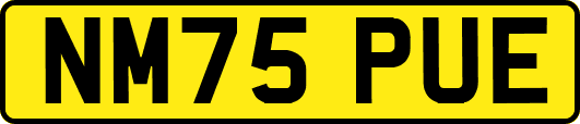NM75PUE