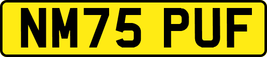 NM75PUF