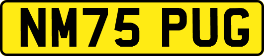 NM75PUG
