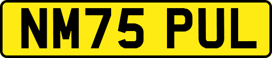 NM75PUL