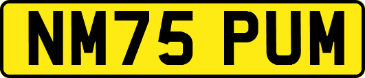 NM75PUM