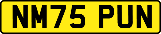 NM75PUN