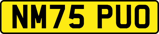 NM75PUO