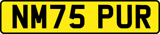 NM75PUR