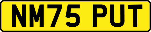 NM75PUT