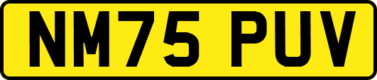 NM75PUV