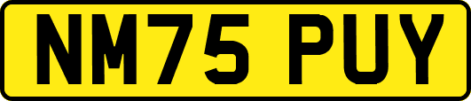 NM75PUY