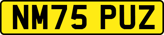 NM75PUZ