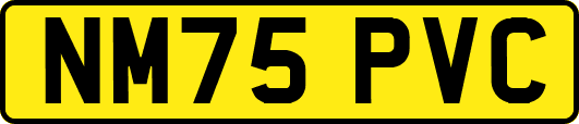 NM75PVC