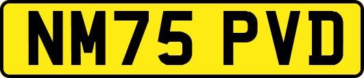 NM75PVD