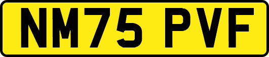 NM75PVF