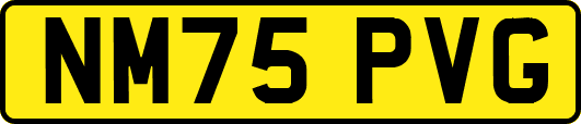 NM75PVG