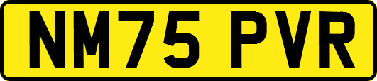 NM75PVR