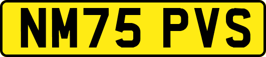 NM75PVS
