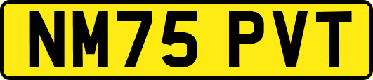 NM75PVT