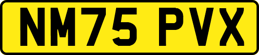NM75PVX