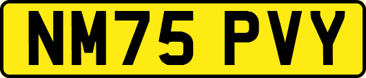 NM75PVY