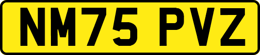 NM75PVZ