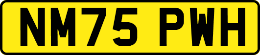 NM75PWH