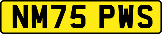 NM75PWS