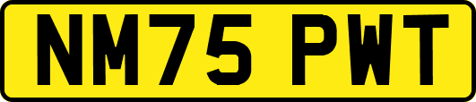 NM75PWT