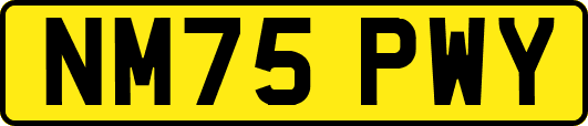 NM75PWY