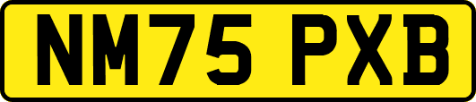 NM75PXB