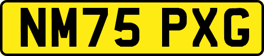 NM75PXG