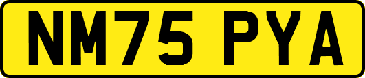 NM75PYA