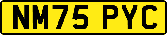 NM75PYC