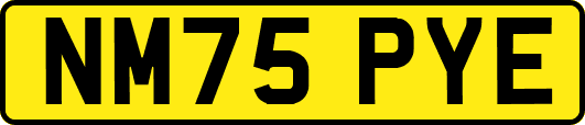 NM75PYE