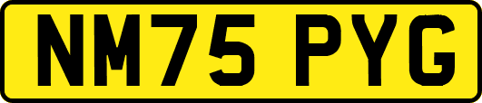 NM75PYG