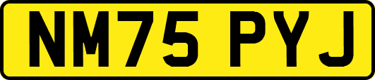 NM75PYJ