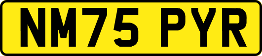 NM75PYR